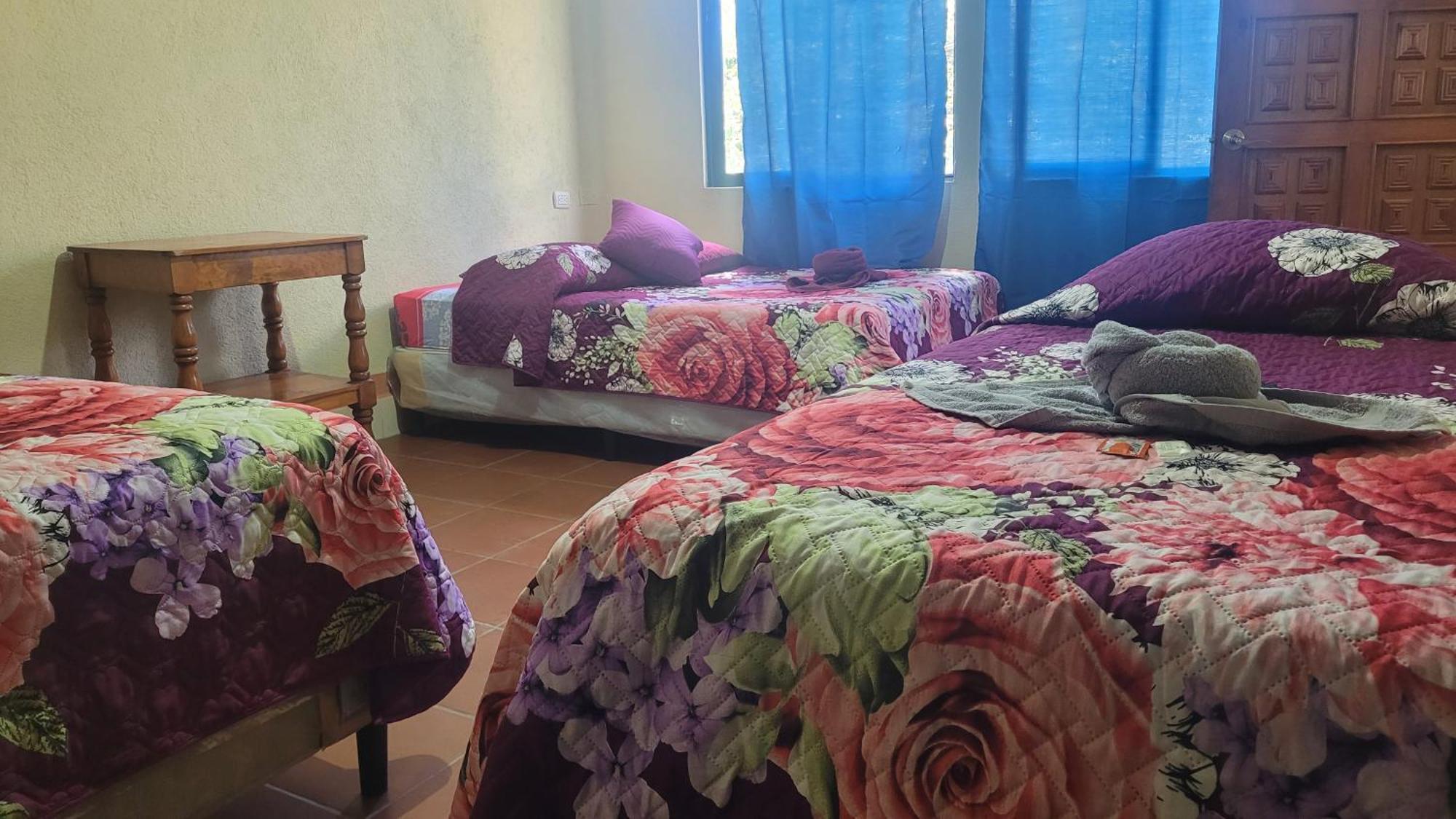 Hostal Sweet Dreams Panajachel Luaran gambar