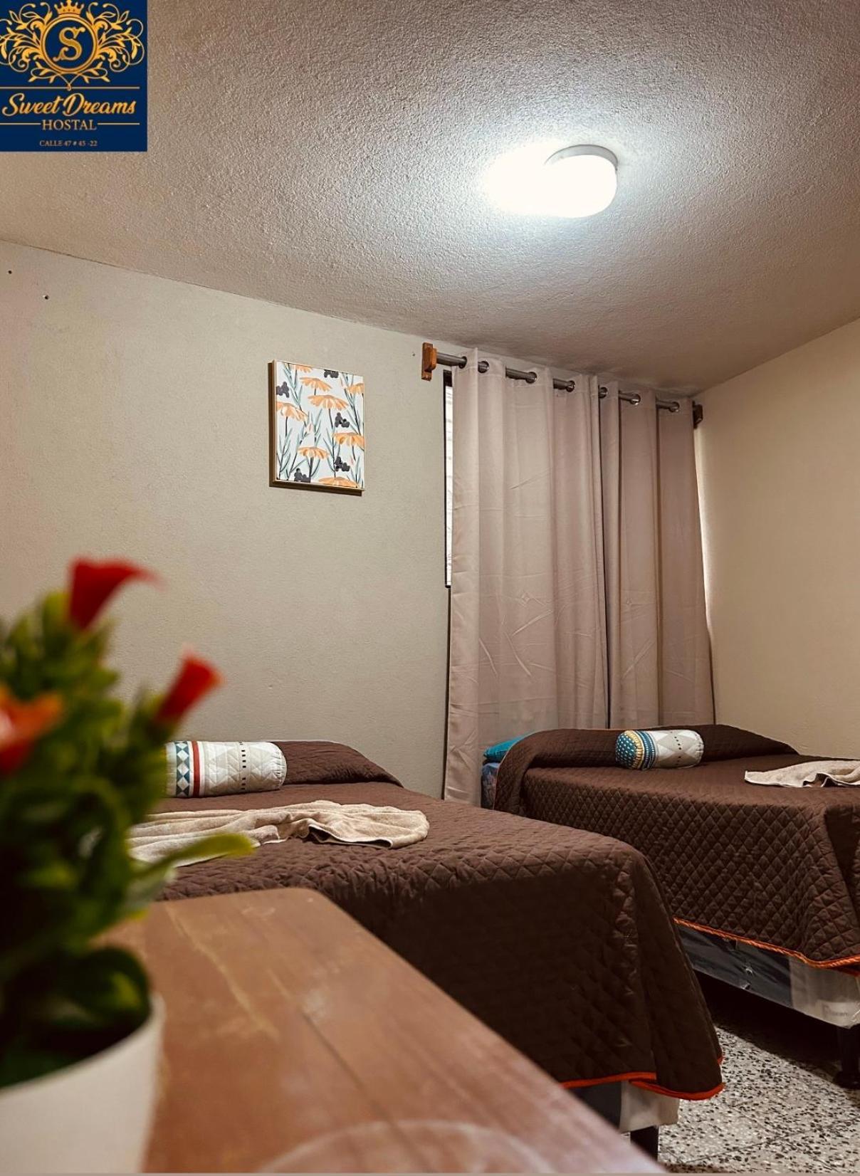 Hostal Sweet Dreams Panajachel Luaran gambar